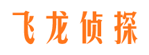 老城市私家侦探